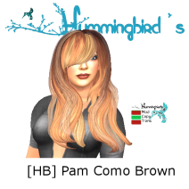 [HB] Pam Como Brown Image