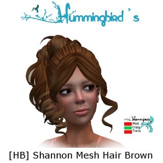 [HB]_Shannon_Mesh_Brown_Image